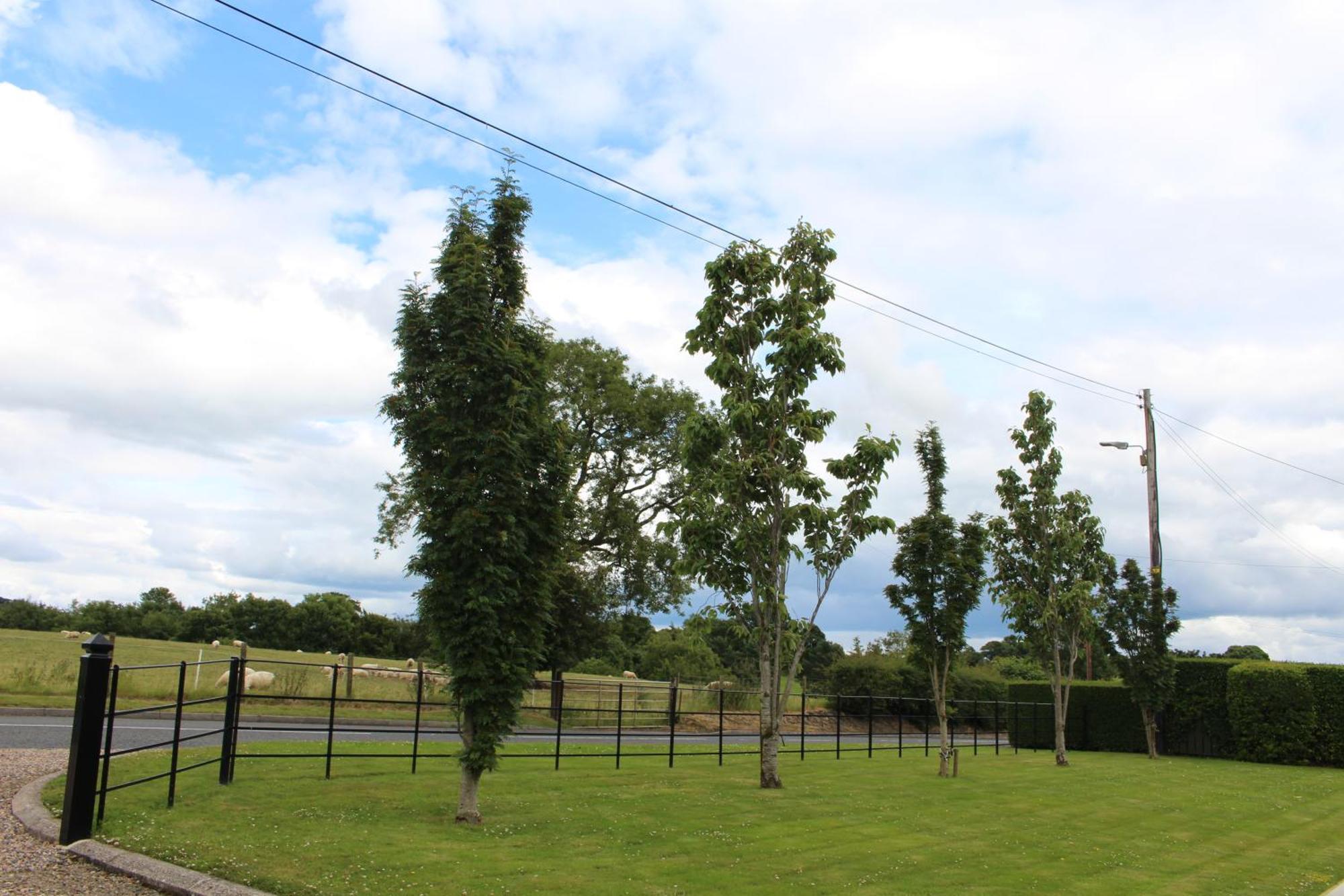 Contemporary Countryside Home Dromore  Bagian luar foto